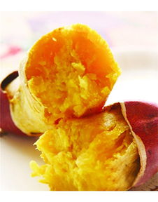 泉城烤薯加盟詳解 費用、總部及地瓜坊餐飲管理分析